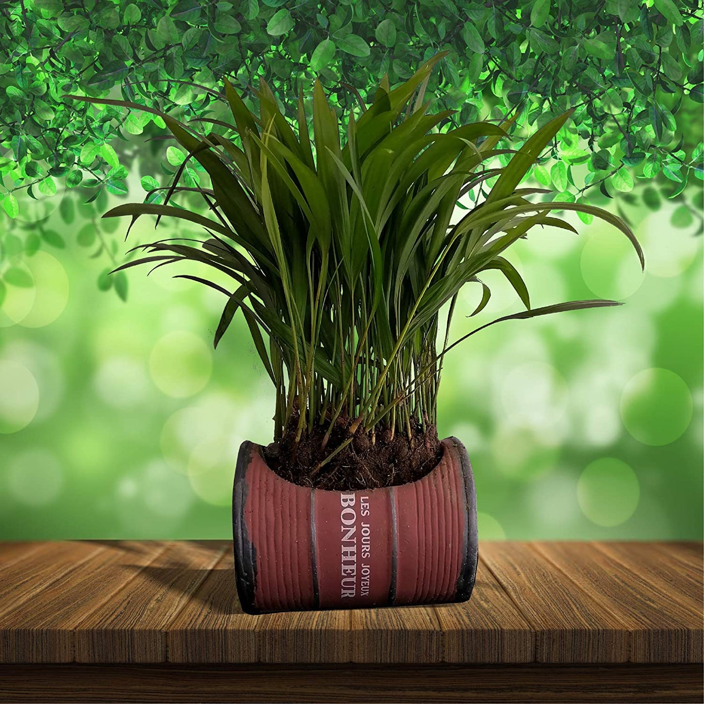 MACETA DE CEMENTO DISEÑO BARRIL VINTAGE PARA PLANTAS DE INTERIORES O EXTERIORES