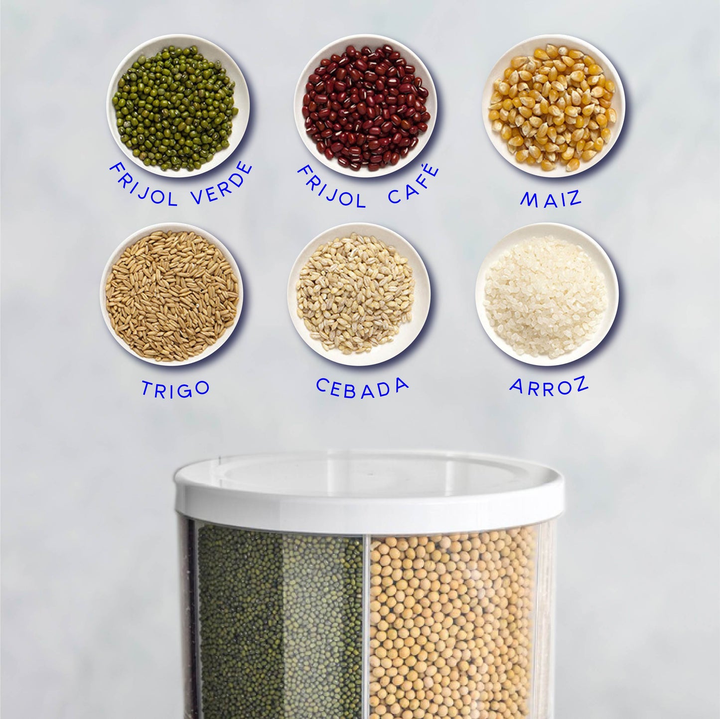 Dispensador de Semillas, Dispensador de Granos y alimentos secos, Dispensador con capacidad de 10 L. 6 separadores para mesa