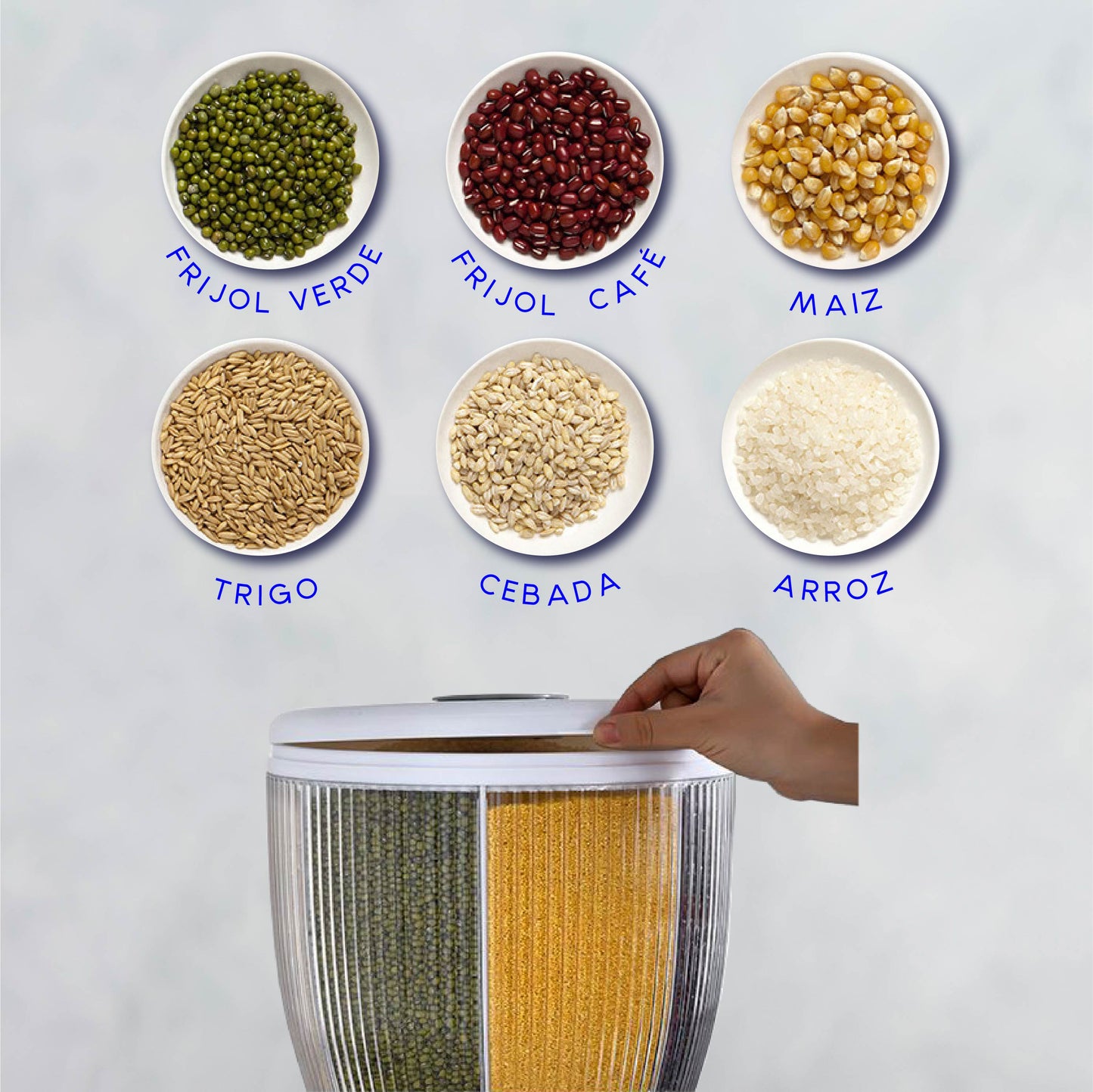 RD ROYAL COOK Dispensador de Semillas, Dispensador de Granos y alimentos secos, Dispensador con capacidad de 10 L. 4 separadores para mesa