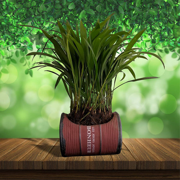 MACETA DE CEMENTO DISEÑO BARRIL VINTAGE PARA PLANTAS DE INTERIORES O EXTERIORES