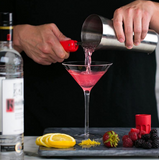 JUEGO DE BAR, SET DE 5 PIEZAS PARA BAR, MIXOLOGÍA, COCTELERAS ACERO INOXIDABLE