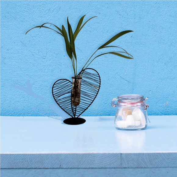 Florero acero y Vidrio Minimalista incluye contenedor de Flores hidropónicas para la decoración del hogar